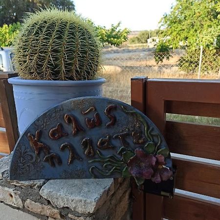 Cactus Home Kalamáki Kültér fotó