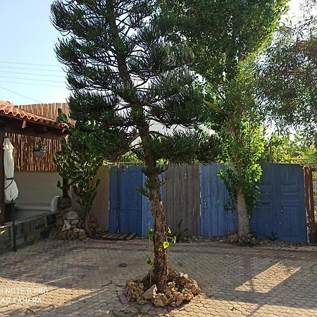 Cactus Home Kalamáki Kültér fotó
