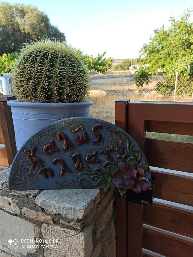 Cactus Home Kalamáki Kültér fotó