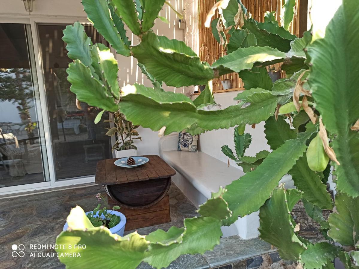 Cactus Home Kalamáki Kültér fotó