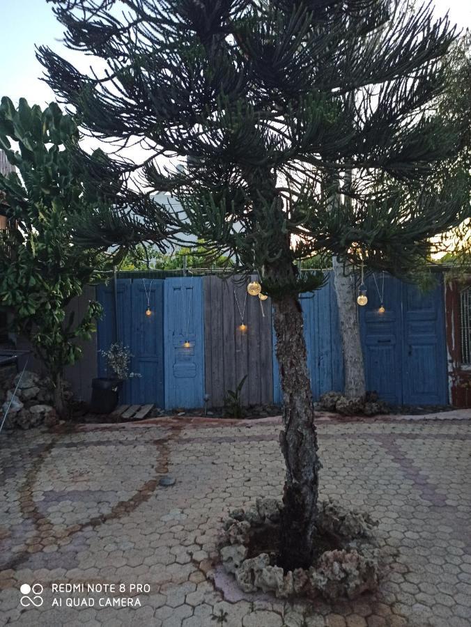 Cactus Home Kalamáki Kültér fotó